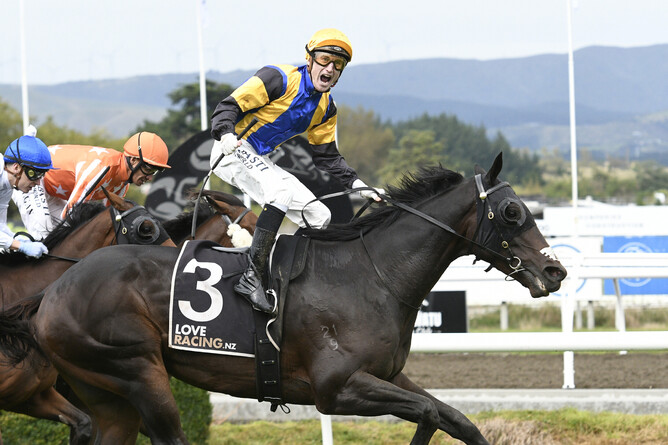 A jubilant Sam Weatherley celebrates after guiding Arby to victory at Awapuni. - Photo: Peter Rubery, Race Images