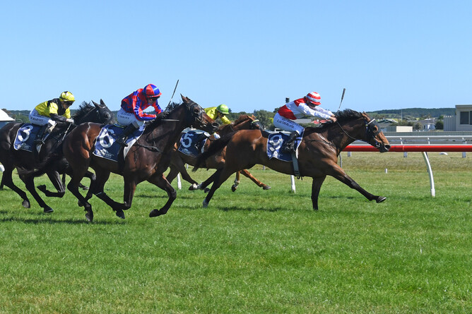 Whangaehu and jockey Lily Sutherland take out the Wanganui Cup. - Photo: Peter Rubery (Race Images)