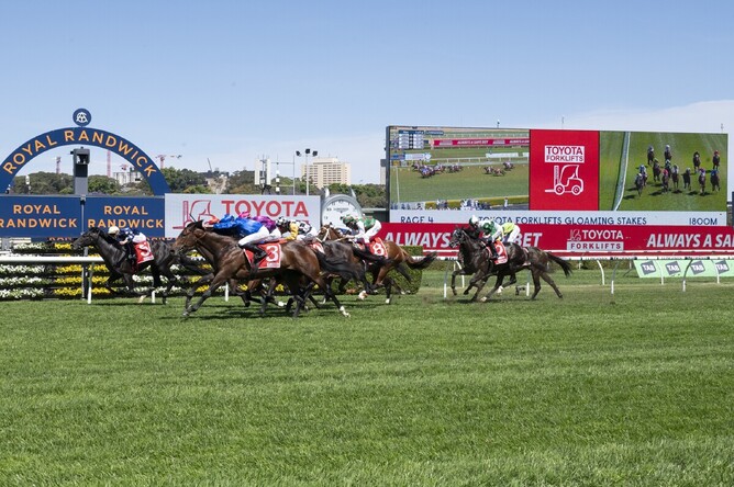 Raf Attack (inside) scores a tough win in the Gr.3 Toyota Forklifts Gloaming Stakes at Royal Randwick on Saturday afternoon - Bradleyphotos.com.au