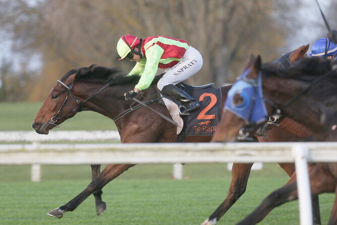 Peecee Pussycat winning at Te Rapa. - Photo: Trish Dunell