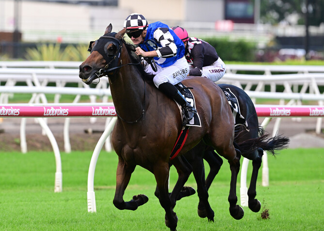 Tenzing scores for trainer Tony Gollan at Eagle Farm in the Listed Brisbane Mile. - Photo: Grant Peters (Trackside Photography)