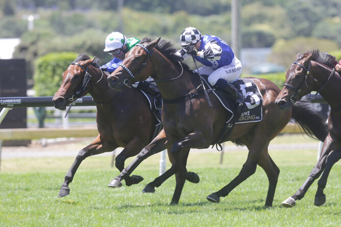 Wolverine (outer) and Pacific Dragon fight out the finish of the Gr.2 First Global Logistics Eclipse Stakes (1200m) at Ellerslie, with Wolverine getting the win in the enquiry room. Photo Credit: Trish Dunell