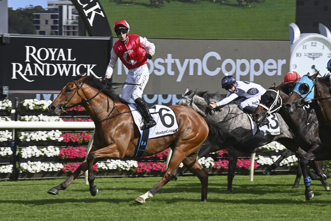 Lion’s Roar, a son of Contributer, winning the Gr.1 Randwick Guineas  (1600m) Photo: Bradleyphotos.com.au