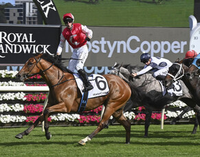 Lion Roars the loudest at Randwick