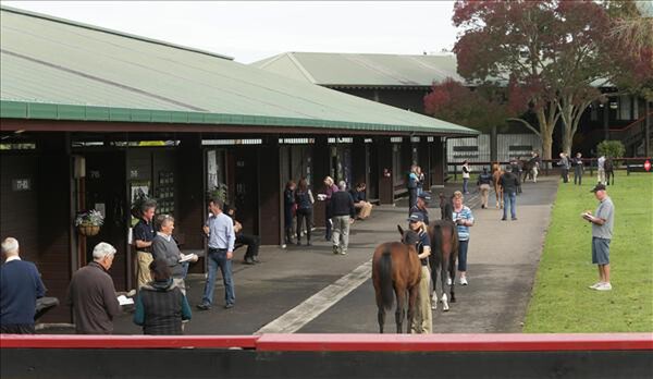 Prospects all positive ahead of Sale