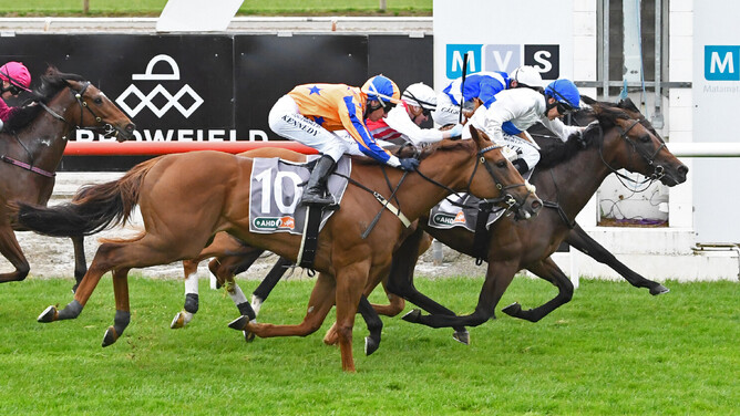 Savaglee (white silks) narrowly takes out the Gr.2 AHD Animal Health Direct – Hawke’s Bay Guineas (1400m) at Matamata. - Photo: Race Images