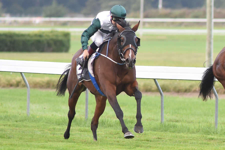 Mangaroa Flo Jo runs to victory for ownerbreeder John Wood New