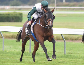 Mangaroa Flo Jo runs to victory for owner-breeder John Wood