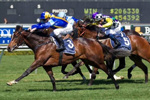 It's A Dundeel - Photo: NZTM website