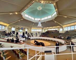 Rebecca Donovan - Sunline Management Scholarship Blog 5