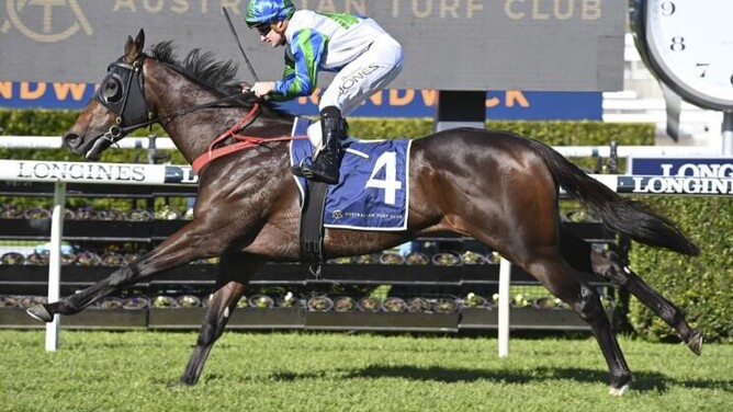 Lowry excited about prospects for Waihaha Falls  - Photo: Bradleyphotos.com.au