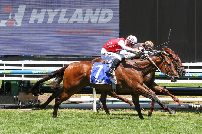 Snow Patrol (outside), bred by Bruce Wallbank, narrowly prevails from Southport Tycoon in the Gr.2 Autumn Stakes (1400m) at Caulfield - Photo: Bruno Cannatelli
