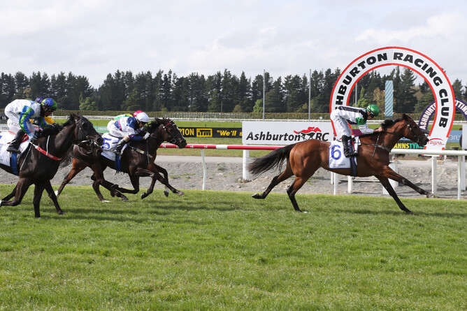 There You Go is well clear of her rivals at the finish to the Gr.3 Barneswood Farm Stakes (1400m) at Ashburton Photo Credit: Race Images South