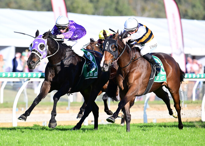 Regal Lion (outside) dug deep to score in the Listed Ipswich Cup (2150m) on Saturday - Photo: Grant Peters, Trackside Photography