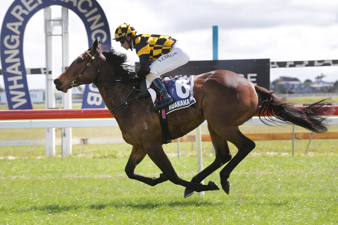 Luberon winning on debut at Ruakaka - Photo:  Trish Dunell