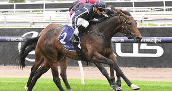 Bold Soul was successful in the Listed Launceston Guineas - Photo: Supplied