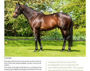 2020 New Season Sires- Ten Sovereigns