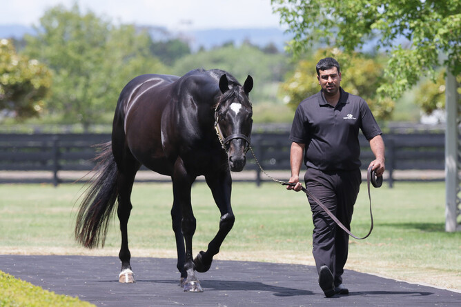 If Westbury Stud needs a highlight reel for its stallions ahead of the 2021 yearling sales, it won’t need to look far beyond Saturday’s racing.