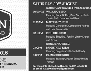 Waikato Stallion Parades 20 &amp; 21 August 2016