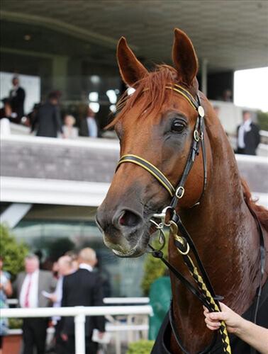 Shuka (pictured above) after winning the listed Ray Coupland Stakes last weekend.