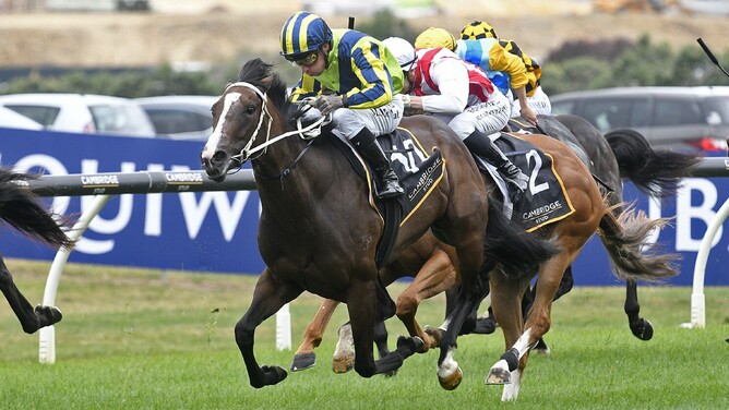 Ardalio winning the Gr.3 Cambridge Stud Almanzor Trophy (1200m) at Ellerslie on Saturday.   - Photo: Kenton Wright (Race Images)