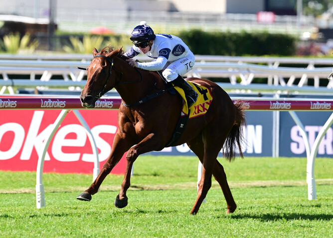 Campaldino delivers a dominant performance to win the Brisbane Cup. - Photo: Grant Peters