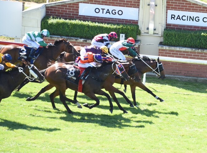 Belle Fascino (red cap) prevails in a desperate finish to the Gr.3 White Robe Lodge WFA (1600m) at Wingatui Photo Credit: Tayler Strong