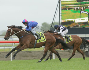 Hot prospect Chocante has a big summer ahead