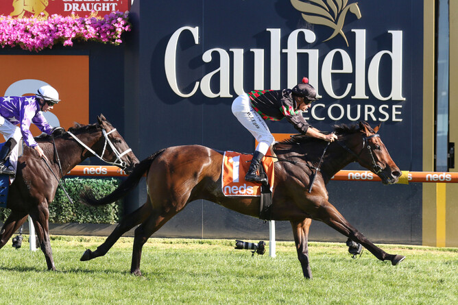Defibrillate wins the Listed Mornington Cup Prelude (2000m) for the second year in succession Photo Credit: Bruno Cannatelli