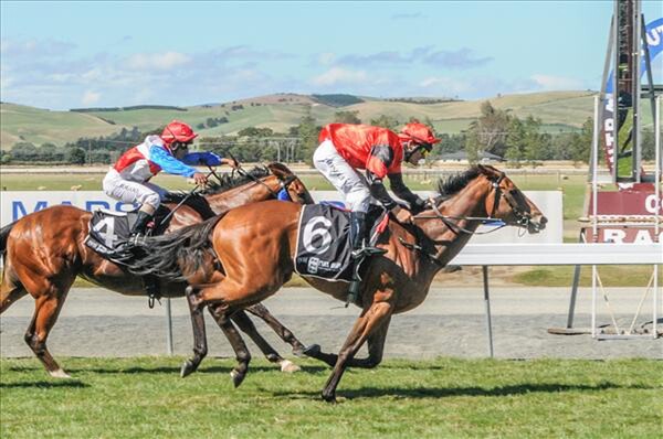 Replique winning the Listed Southland Guineas 21-2-16. - Photo courtesy of Wild Range Photography