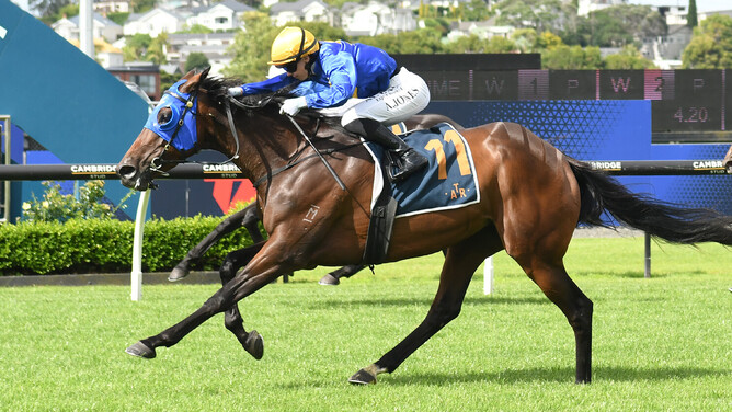 Queensland hoop Angela Jones winning aboard Santa Catalina in the Gr.3 Queen Elizabeth II Cup (2400m) at Ellerslie on New Year's Day.  - Photo: Kenton Wright (Race Images)