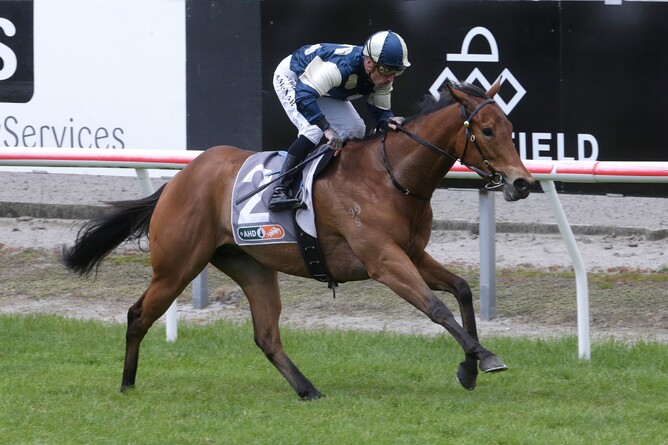 Pier claims a comprehensive victory in the Gr.2 AHD Hawke’s Bay Guineas (1400m) - Photo:  Trish Dunell