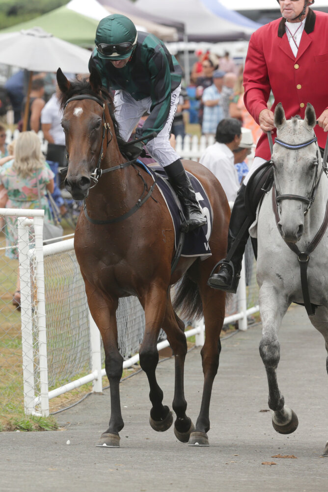 Aretha (Charm Spirit - Tsikory by Stravinsky) bred and owned by Greg McCarthy after her Gr.2 J Swap Matamata Breeders' Stakes win - photo Trish Dunell