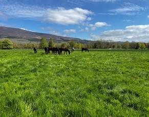 Rebecca Donovan - Sunline Management Scholarship Blog 3