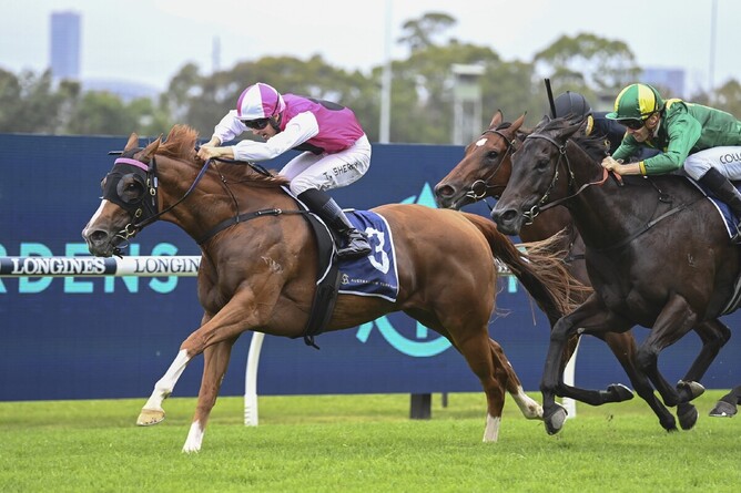 Tom Sherry guides Expat to a slick victory in the Gr.2 Millie Fox Stakes (1300m) - Photo: bradleyphotos.com.au