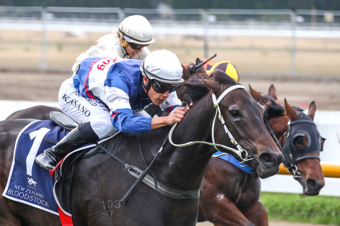Kozzi Asano guides Atishu to a stunning victory in the Listed New Zealand Bloodstock Warstep Stakes (2000m) at Riccarton Photo Credit: Race Images South
