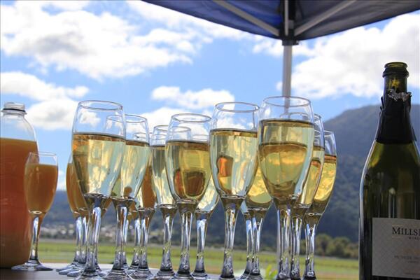 The NZTBA wish all members and breeders a merry Christmas and prosperous new year