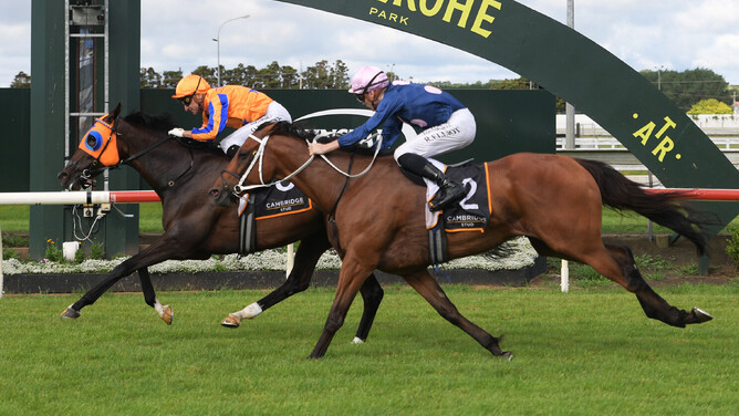 Campionessa (inside) winning the Gr.1 Cambridge Stud Zabeel Classic (2050m) at Pukekohe on Tuesday. - Photo: Kenton Wright (Race Images)