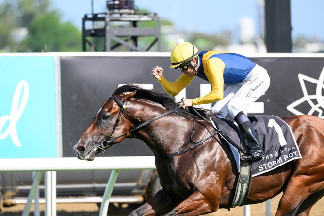 Storm Boy, a grandson of champion racemare Seachange, completes an unbeaten hat-trick in the Magic Millions 2YO Classic. - Photo: Supplied