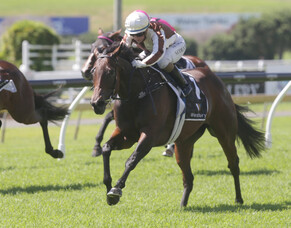 Pearl Series early bird entries nearing close