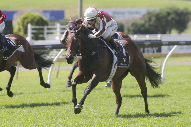 Levante on her way to collecting a NZB Pearl Series Bonus in the Royal Descent Stakes at Ellerslie. - Photo: Trish Dunell