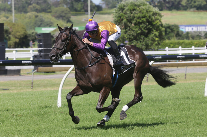 Elephant winning at Ellerslie prior to his Australian campaign. - Photo: Trish Dunell