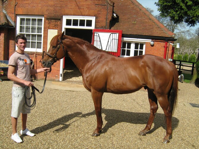 Bruce with Cheveley's Champion Stallion Pivotal.  (Note the stallion handler's off-set knees!)