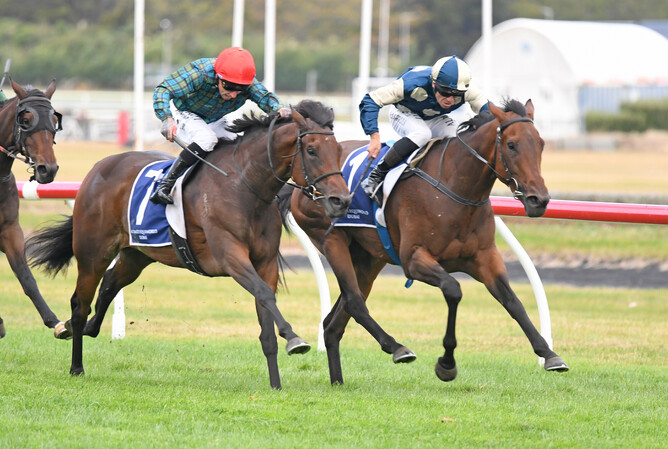 Leica Lucy winning the Gr.1 New Zealand Oaks (2400m) - Photo: Peter Rubery (Race Images)