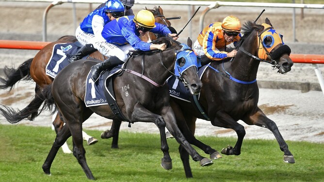 What You Wish For winning the Listed Kaimai Stakes (2000m) at Matamata on Saturday.   - Photo: Kenton Wright (Race Images)
