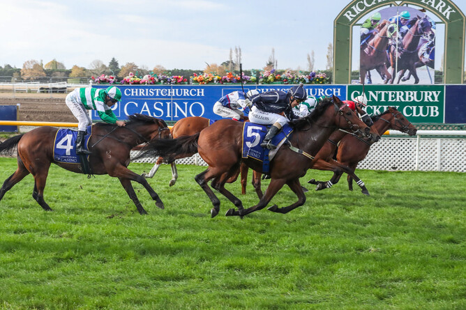 Whale Song (inner) gets his nose in front to defeat Lightning Jack at Riccarton Photo Credit: Race Images South