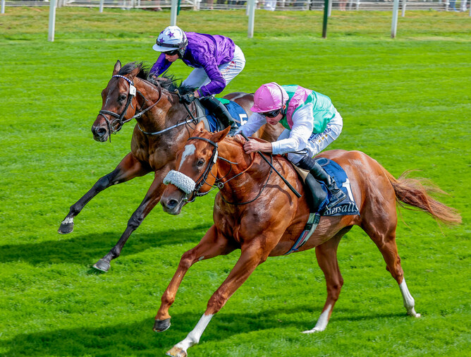 Chaldean winning the Acomb Stakes at York - Photo: Mark Cranham cranhamphoto.com