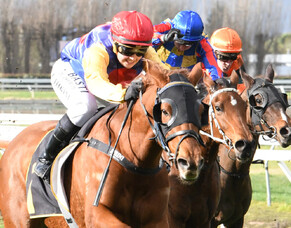 Bargain purchase pays dividends for Taylor family