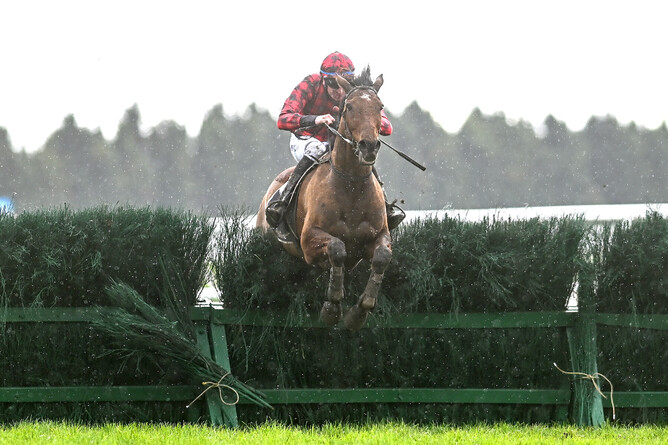 Tallyho Twinkletoe on his way to winning the Grand National Steeplechase (5600m) at Riccarton on Saturday. - Photo: Race Images South