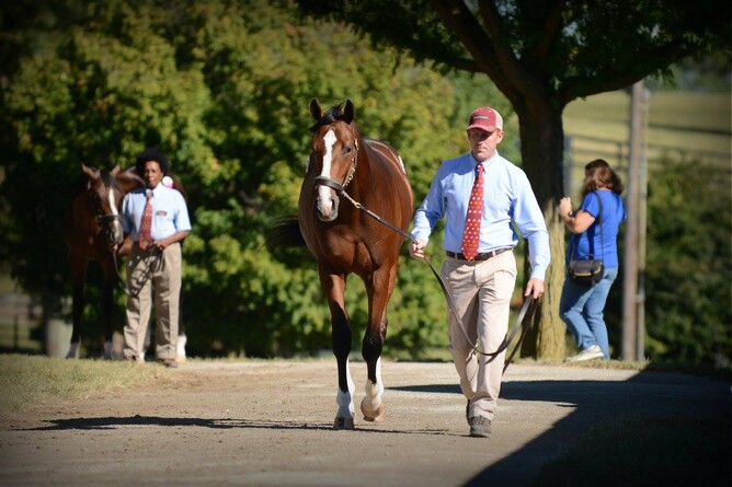 Keeneland Sales